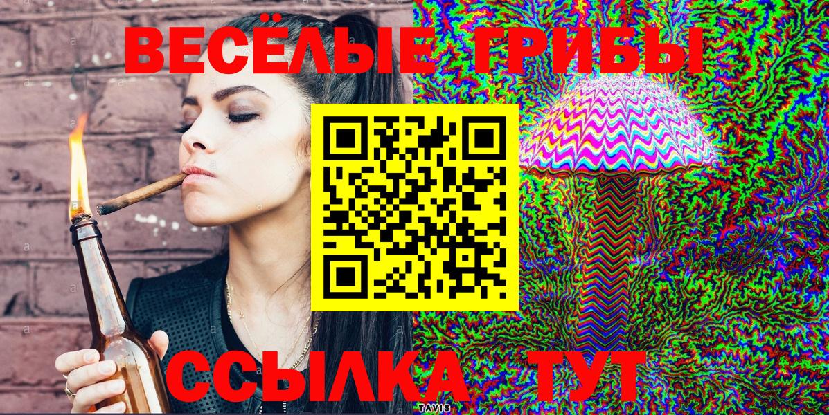 Галлюциногенные грибы Psilocybine cubensis Азов
