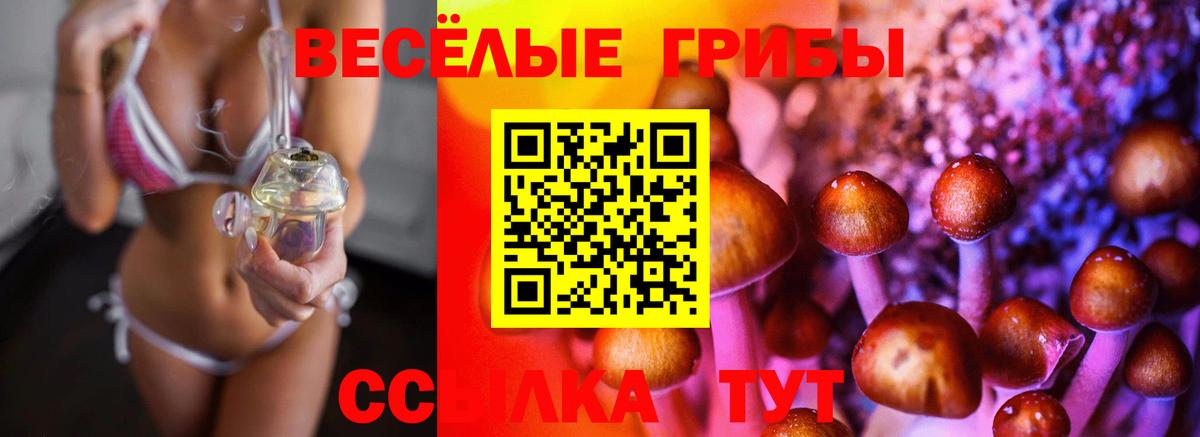 Галлюциногенные грибы Magic Shrooms  Азов 